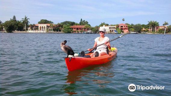 Sea Life Kayak Adventures