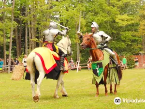 The Great Lakes Medieval Faire