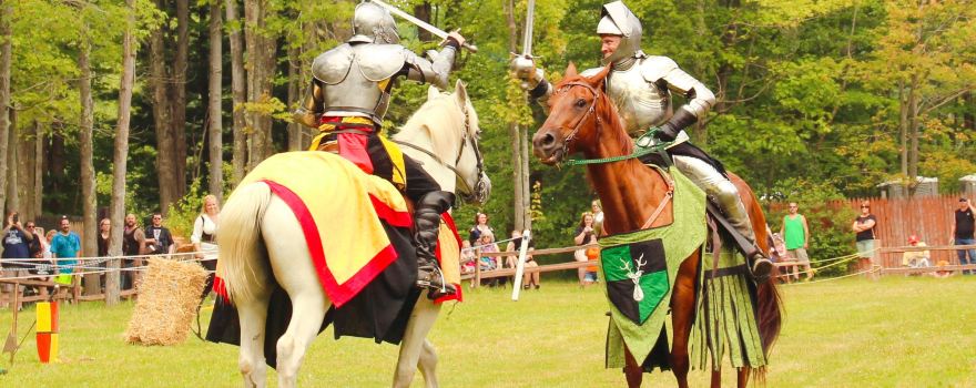 The Great Lakes Medieval Faire