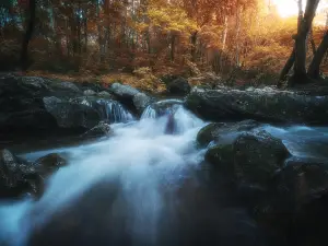 Xianglu Mountain National Forest Park
