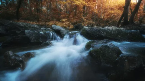 Xianglu Mountain National Forest Park attraction in Харбин