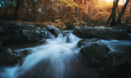 Xianglu Mountain National Forest Park