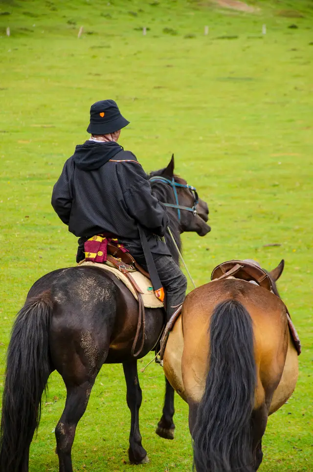 甘南騎馬