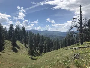Station Creek Trailhead