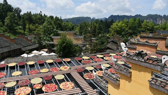 Hangwu Hmong Village