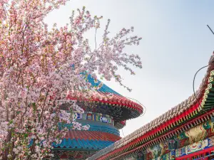 天壇公園