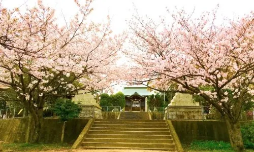 Sumiyoshi Shrine