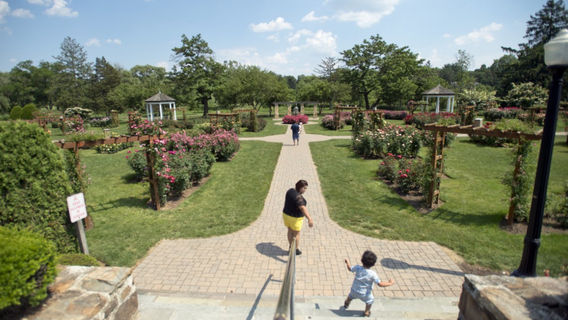 Malcolm W. Gross Memorial Rose Gardens