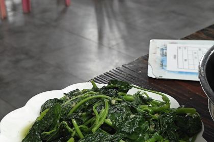 Tan men gang hai xian da pai dang