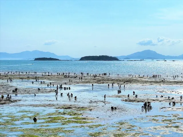 Beachcombing in HuiZhou