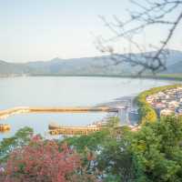 佐賀で行きたい海中レストラン