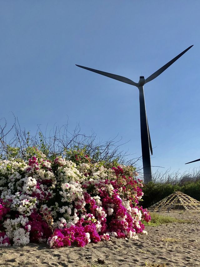 Bangui Wind Farm