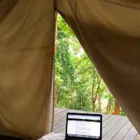 Take a break from world  Lanna Wild