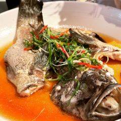 THE TERRACE User Photo