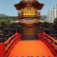 Quiet Paradise in the heart of Hong Kong