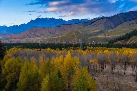 Ami Dongsuo Scenic Spot