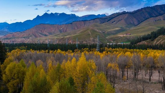 Ami Dongsuo Scenic Spot