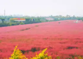 Yangmaogou Huahai Wetland