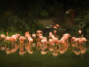 Guangzhou Zoo