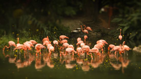광저우 동물원(광주 동물원)