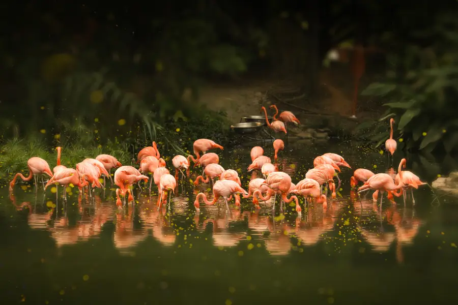 廣州動物園