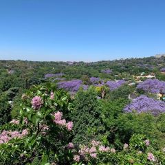 Westcliff Deli User Photo