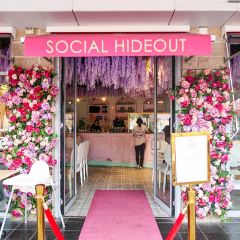Social Hideout User Photo