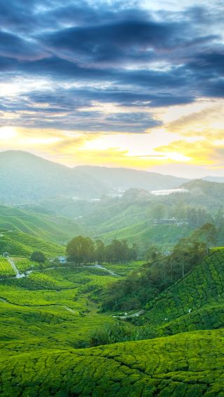 Hangzhou Hiking Day Tour of Mount Mogan Nature Reserve