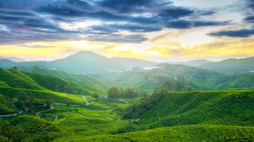 莫幹山風景名勝區