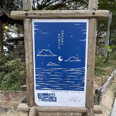 SEA STORY User Photo