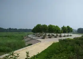 Jianhu National City Wetland Park