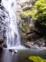 馬巒山郊野公園