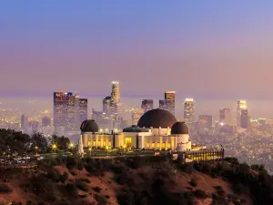 Popular Night Attractions in Los Angeles