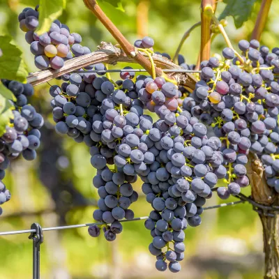 Отзывы об отеле Hadthong Hotel