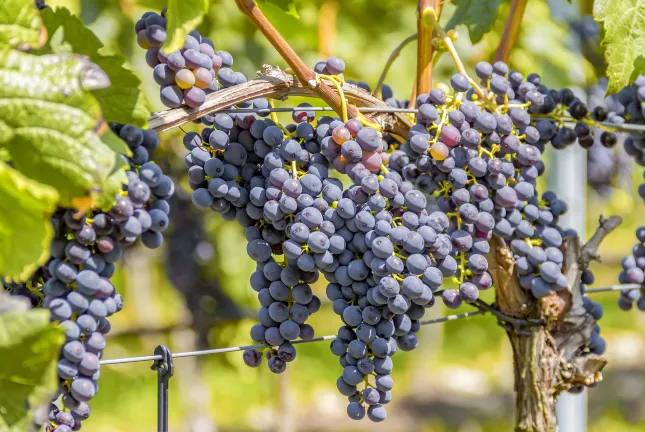 Отзывы об отеле P2S stay Hotel