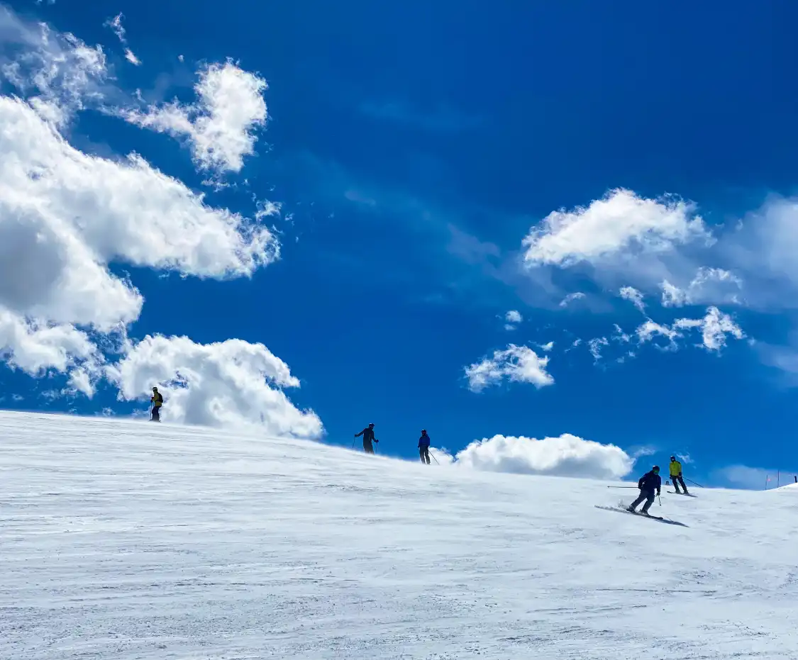 Hotel dekat Washigatake Ski Area