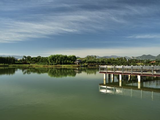 龍泉湖湿地