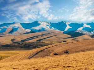 Tangbula Grassland