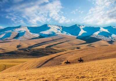 Tangbula Grassland