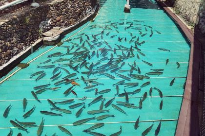 鲜美廉生态园(园博园店)