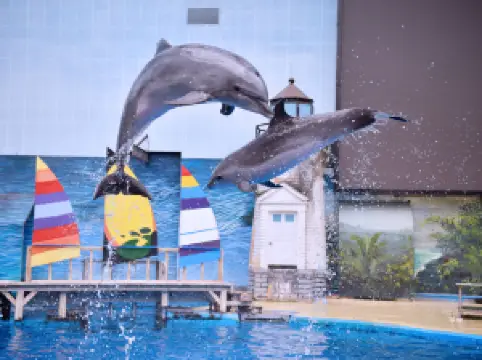 Tianjin Polar Ocean Resort