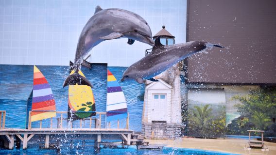 HHAn Tianjin Polar Ocean Resort