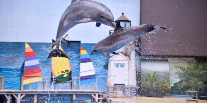 天津極地海洋公園