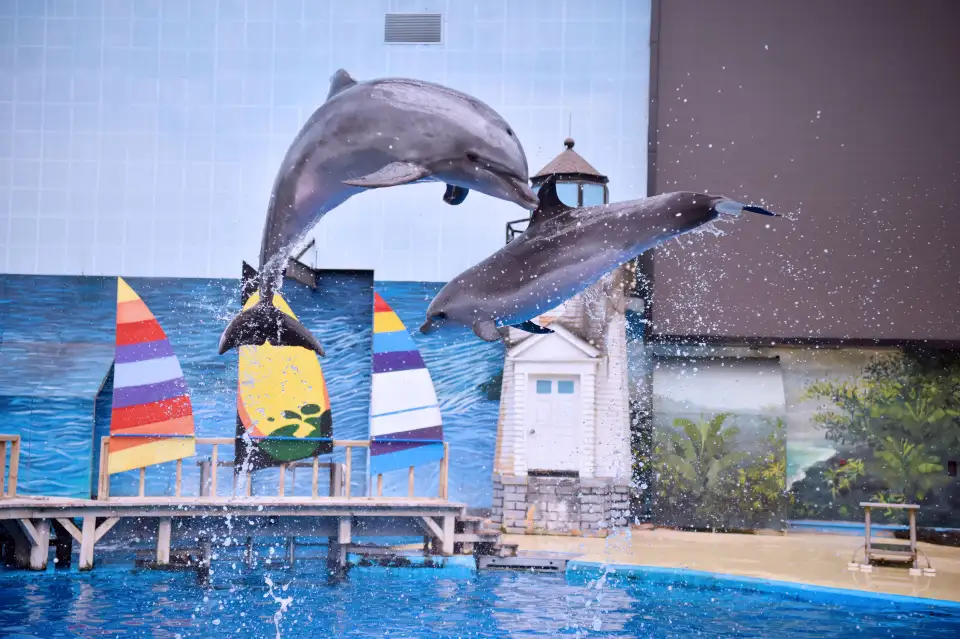 1_Tianjin Polar Ocean Resort