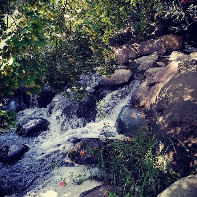 Gongqing Forest Park Shanghai Nature Bli
