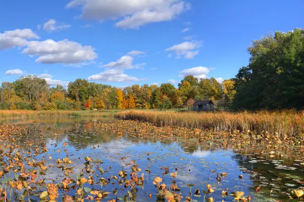 Hotels near The University of Toledo