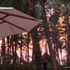 Beach Barbacoa at EDITION User Photo