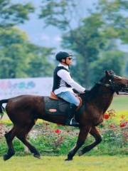 Daxi Horse Band Riding