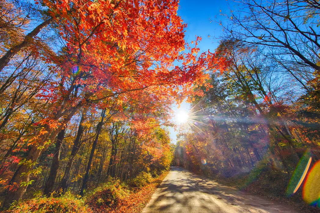 Vuelos ${{cityDName}} Tonghua