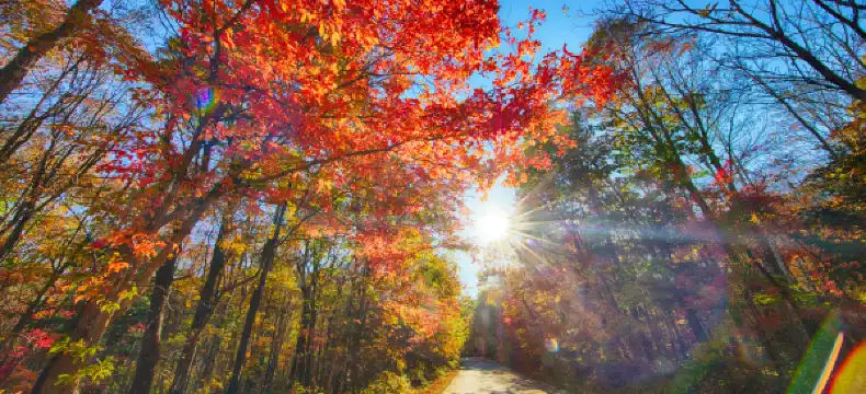 yiju properties in Tonghua